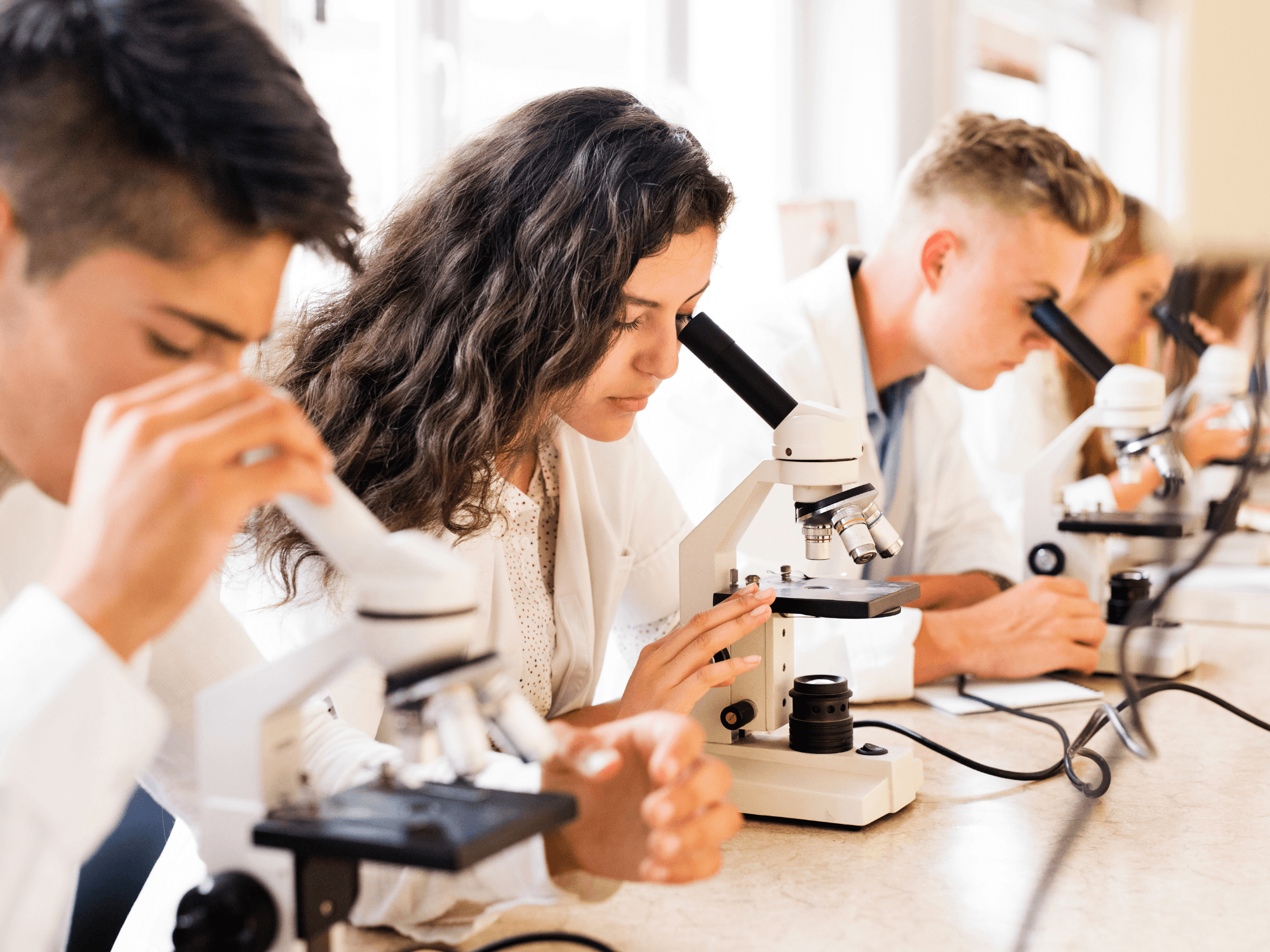 Etudiants en travaux pratiques au laboratoire