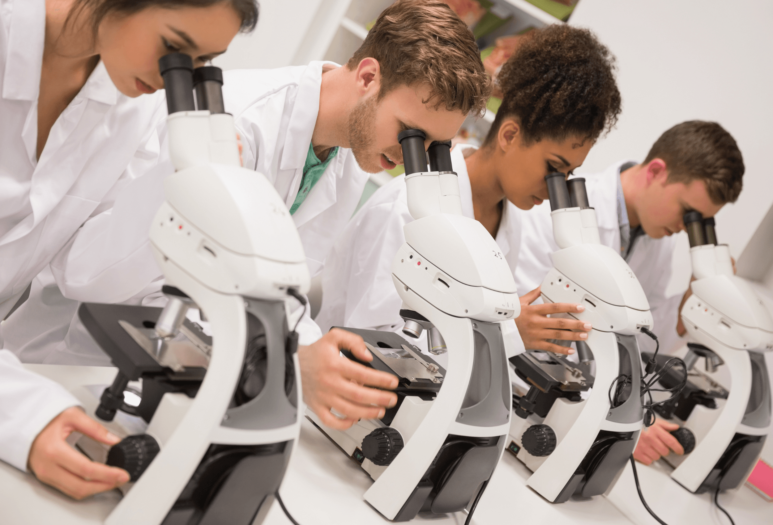 Etudiante concentree en travaux pratiques