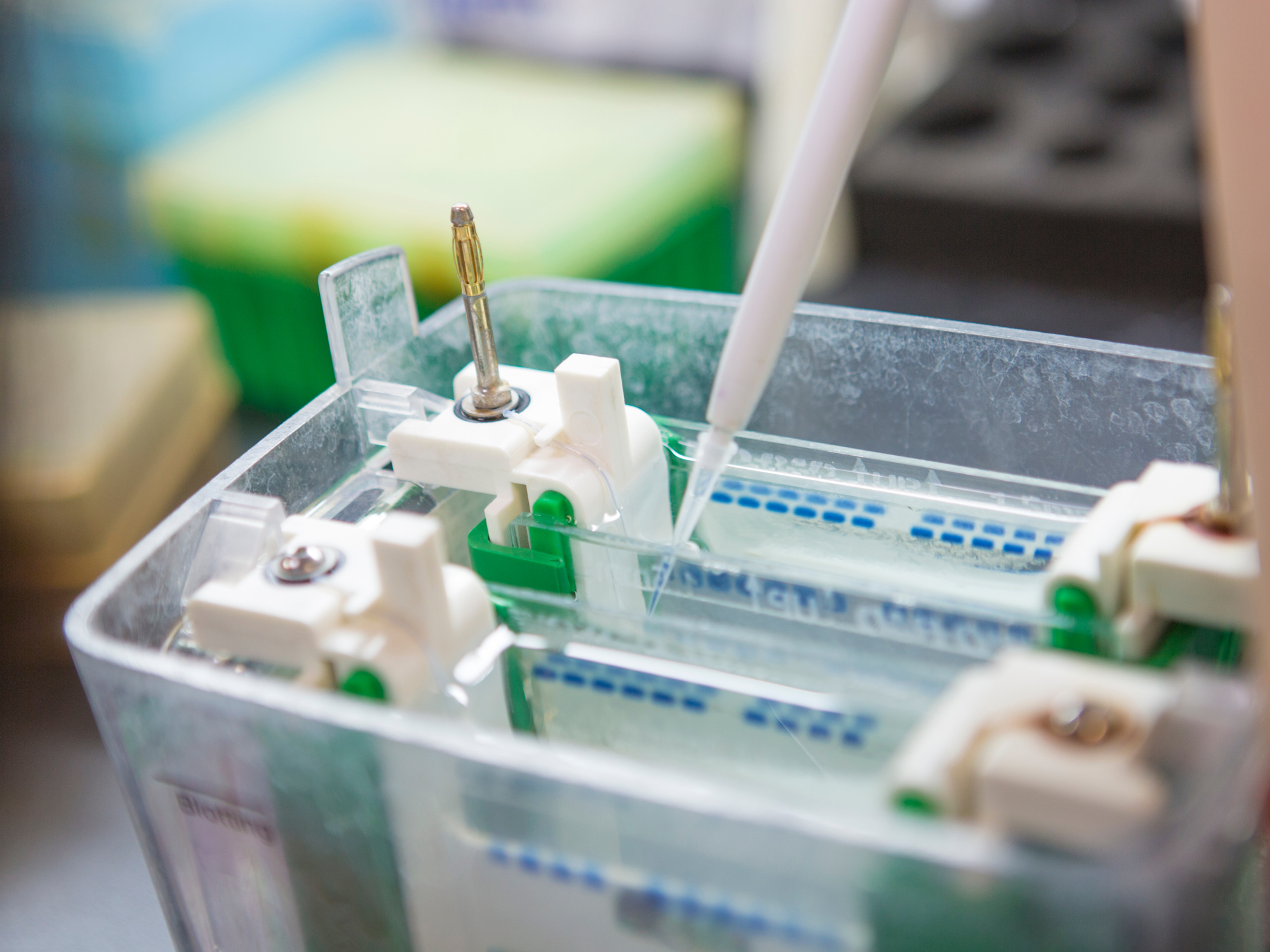 Travailler dans la biologie médicale : quels métiers après un BTS ?